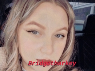 Bridgetharkey