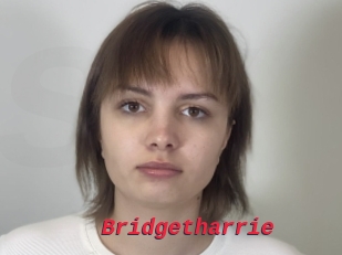 Bridgetharrie