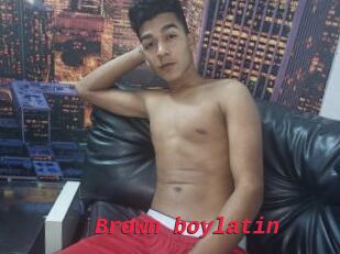 Brown_boylatin