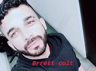 Brrett_colt