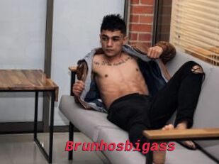 Brunhosbigass