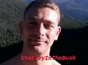 CharleyInTheBush