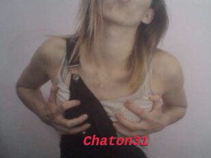 Chaton31