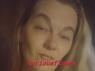 Curiousflower