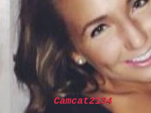 Camcat2134