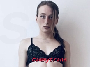 Cammytrans