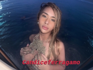 Candiceferragamo