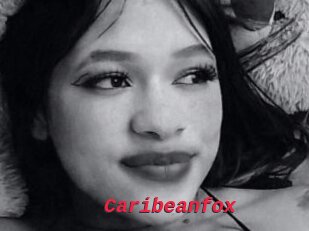 Caribeanfox