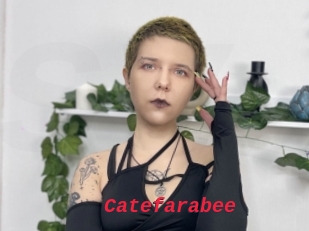 Catefarabee