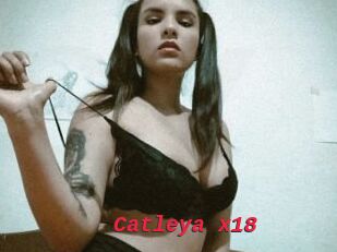 Catleya_x18