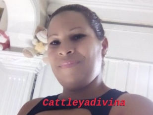 Cattleyadivina