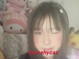 Cuteshycat