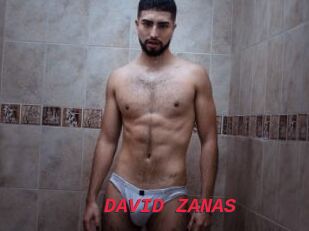 DAVID_ZANAS