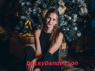 DaisyDandelion