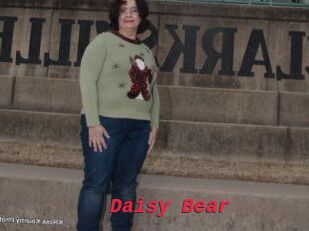 Daisy_Bear