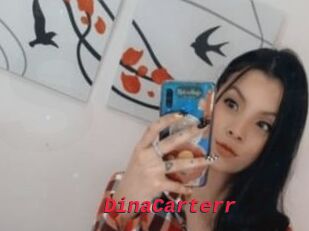 DinaCarterr