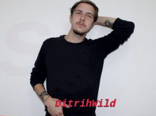 DitrihWild