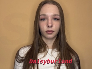 Daisyburland