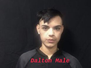 Dalton_Male