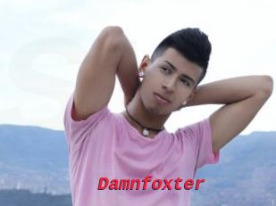 Damnfoxter