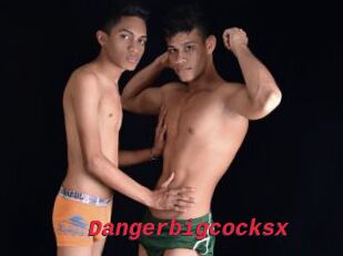 Dangerbigcocksx