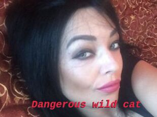 Dangerous_wild_cat