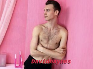 Davidhaynes