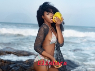 Elishara