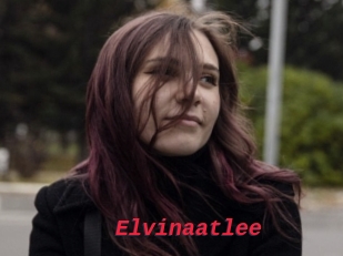 Elvinaatlee