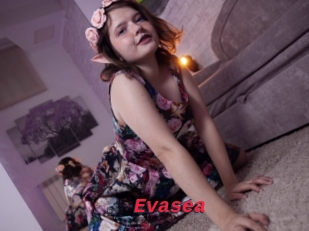 Evasea