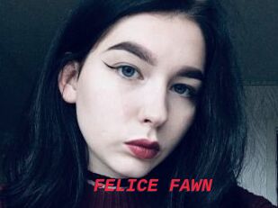 FELICE_FAWN