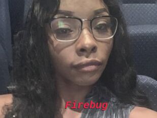 Firebug