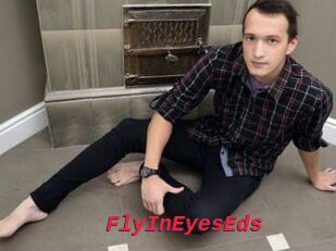 FlyInEyesEds