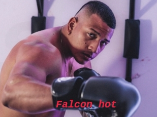 Falcon_hot