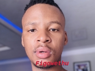 Figowethu