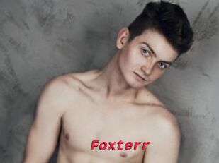 Foxterr