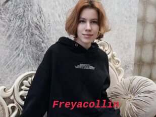 Freyacollin