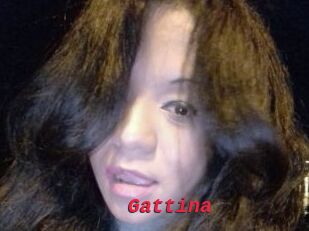 Gattina