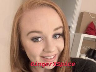 GingerXSpice