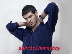 Gabrielhornyboy