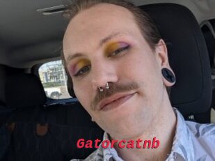 Gatorcatnb