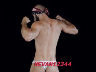 HEVAN12344