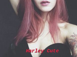 Harley_Cute