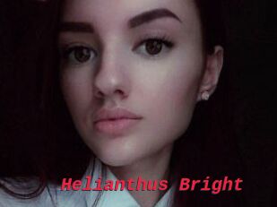 Helianthus_Bright