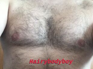 Hairybodyboy