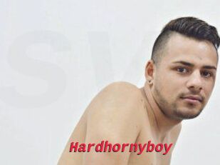 Hardhornyboy