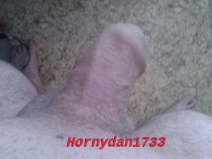 Hornydan1733