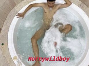 Hornywildboy