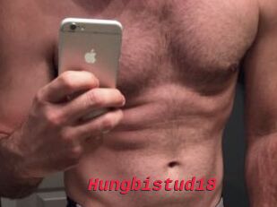 Hungbistud18