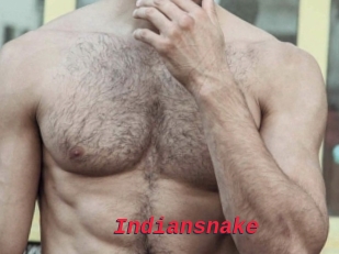 Indiansnake